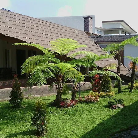 Rumah Kebun Lulu Villa-2
